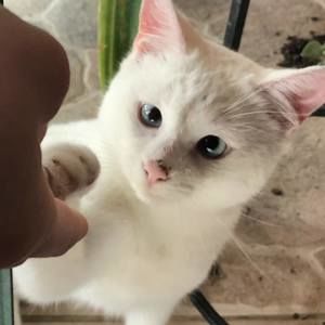 Meet your Posher, Sophia